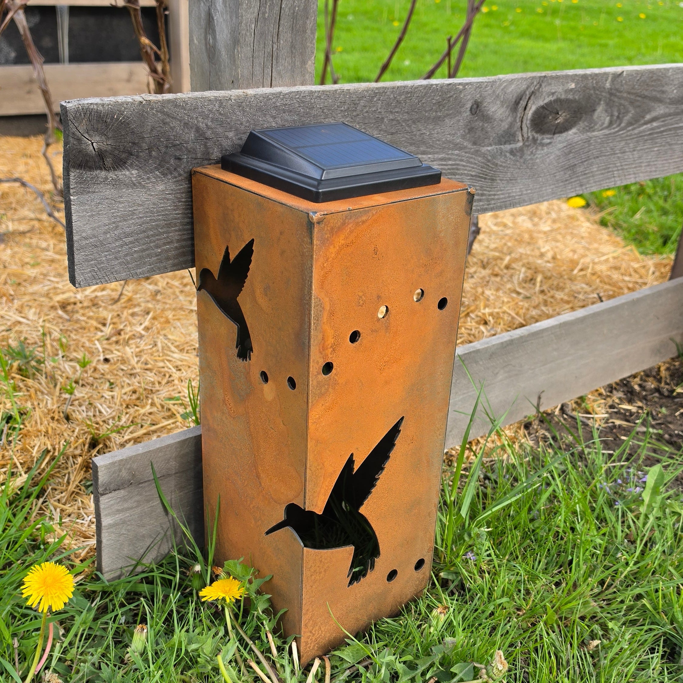 Hummingbird Solar Pillar