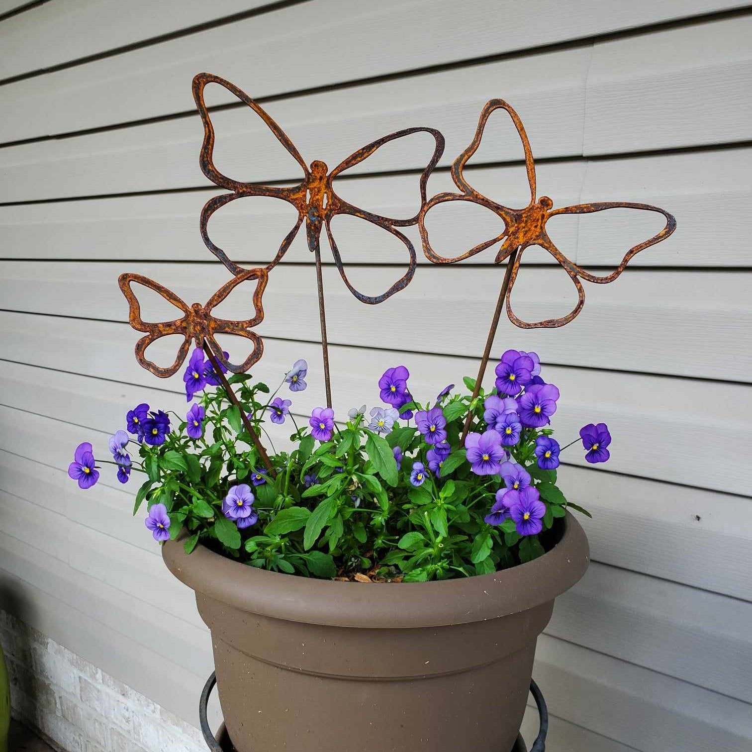 Rustic metal butterfly multi size pack.
