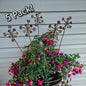 Rustic metal bendable dandelion 5 pack.