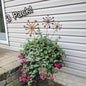 Three rust-colored metal starburst garden stakes in front of a potted plant with flowers against a beige wall.