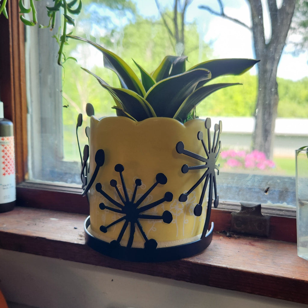 Dandelion candle wrap on a potted plant