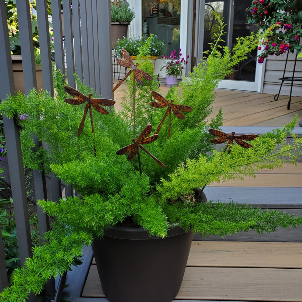 Rustic metal dragonfly 5 pack plant stakes in potted plant.
