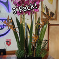 Rustic metal fairy plant stakes