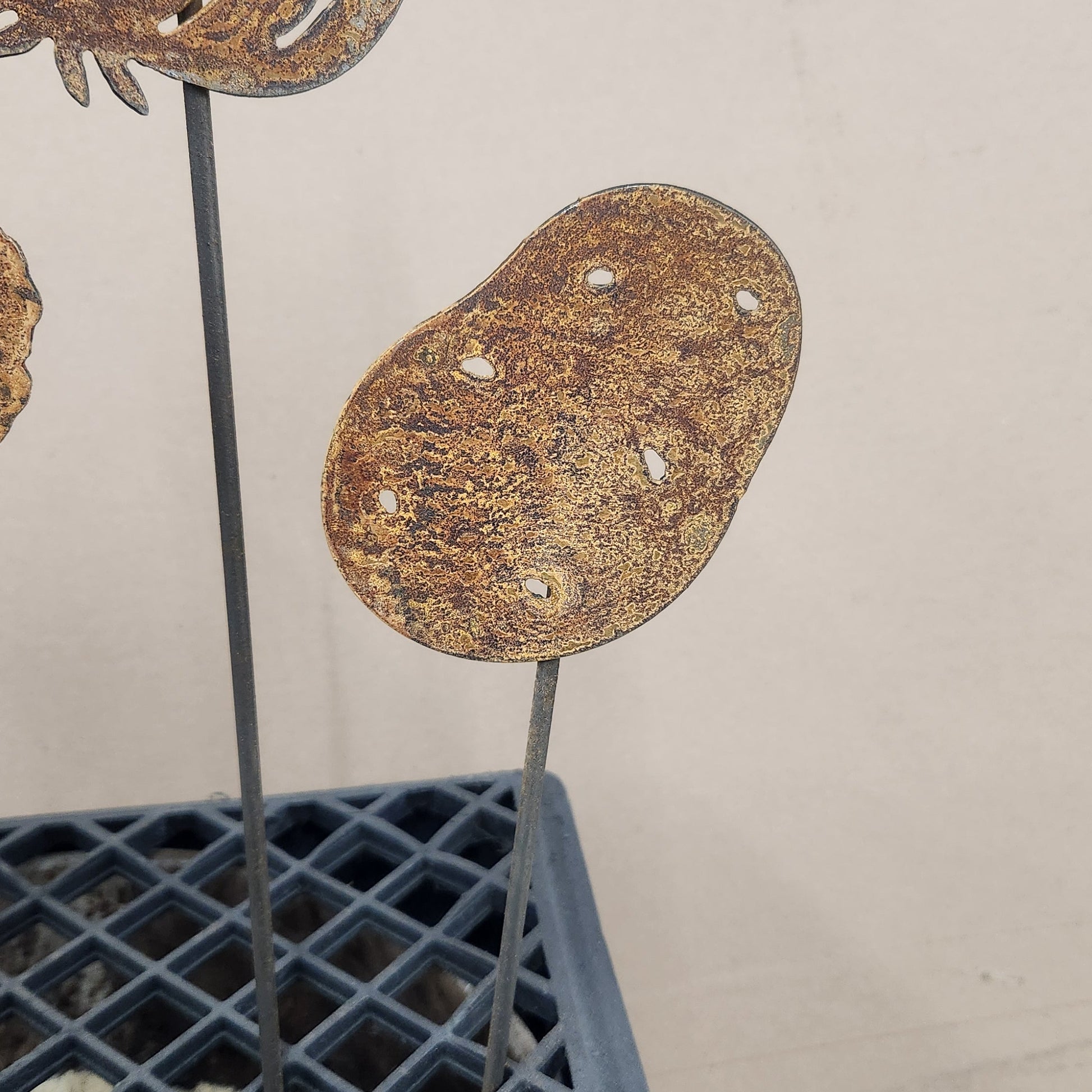 Potato rustic metal garden stake