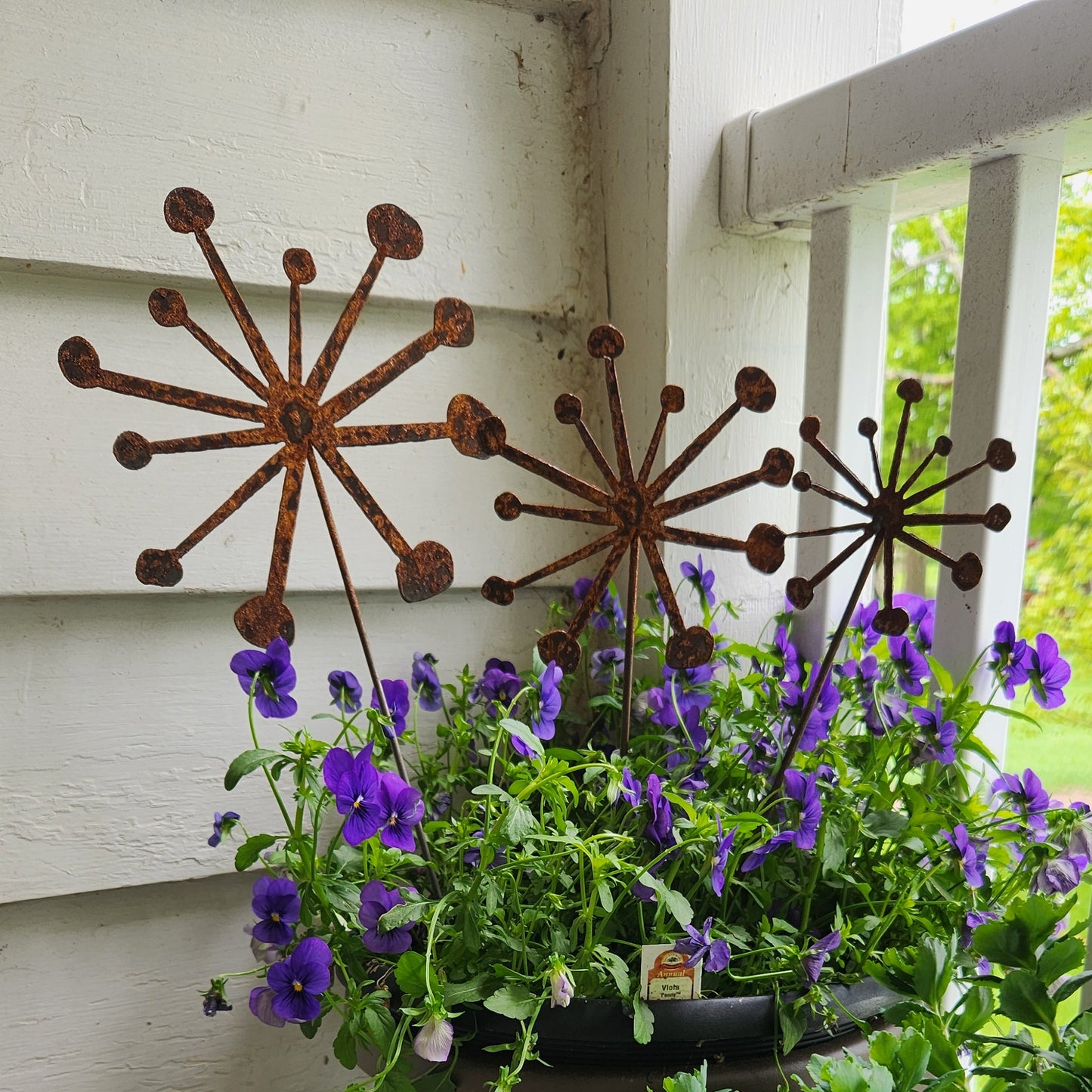Decorative metal starburst and hanging plants on a white wall
