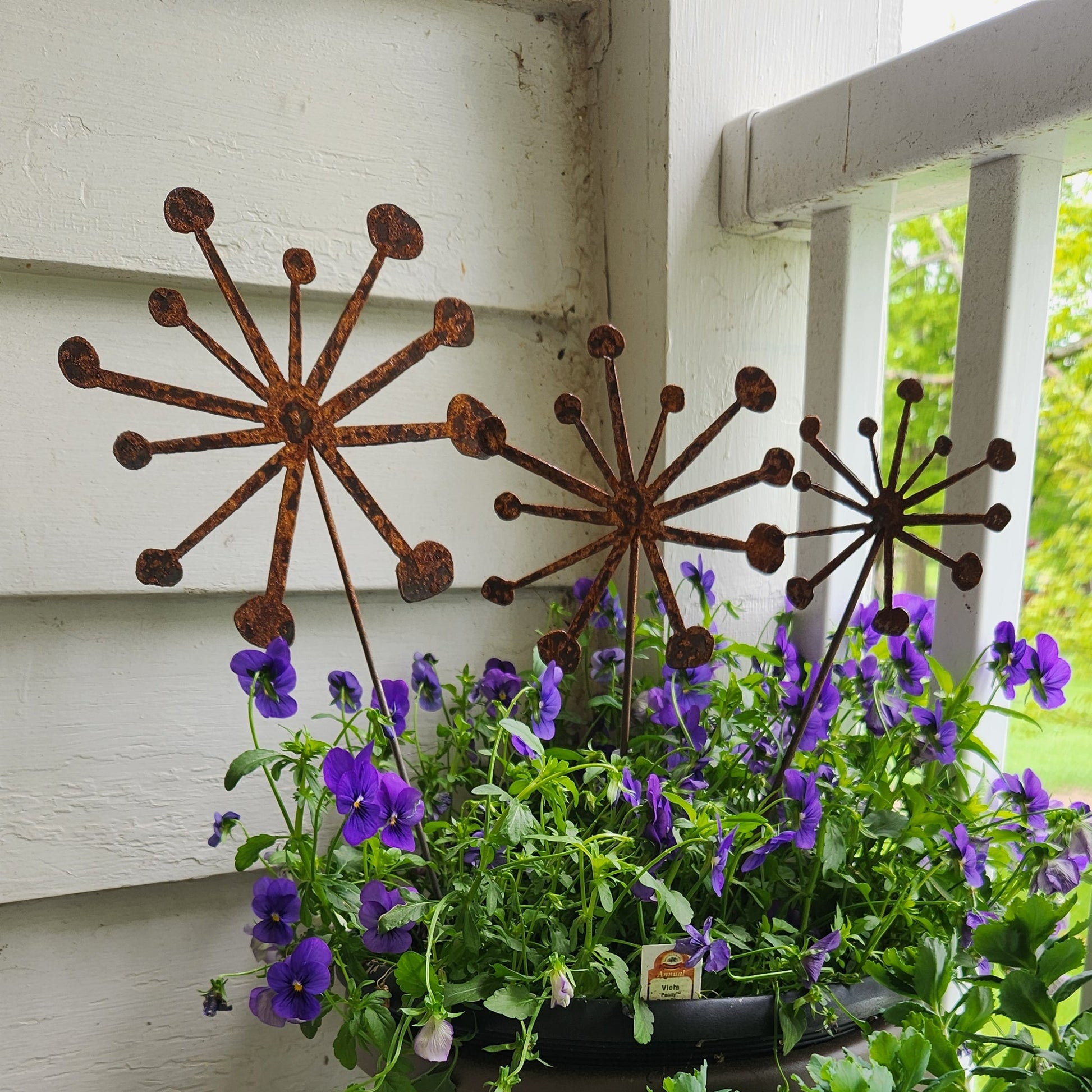 Decorative metal starburst and hanging plants on a white wall