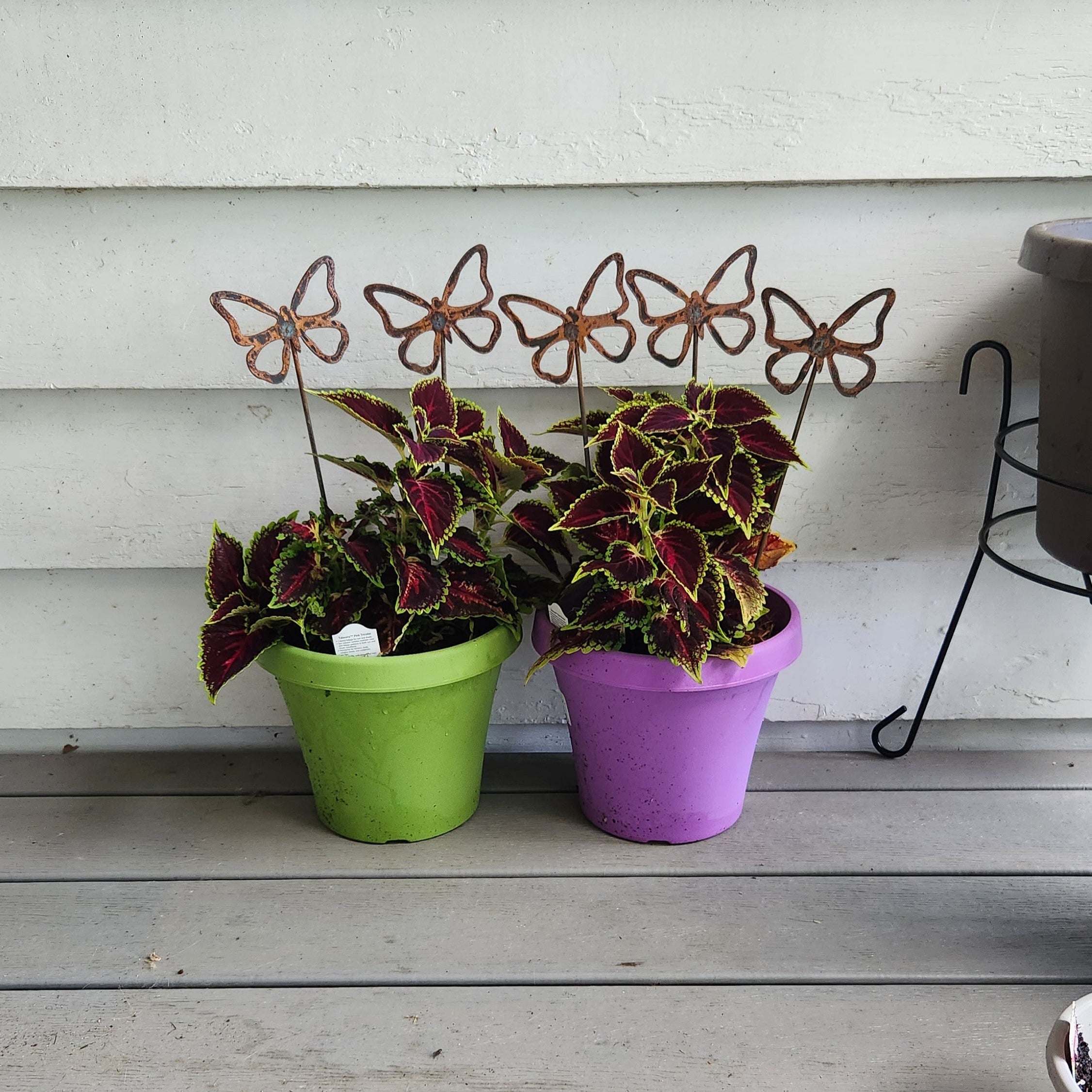 Butterfly rustic metal plant stakes in potted plants.