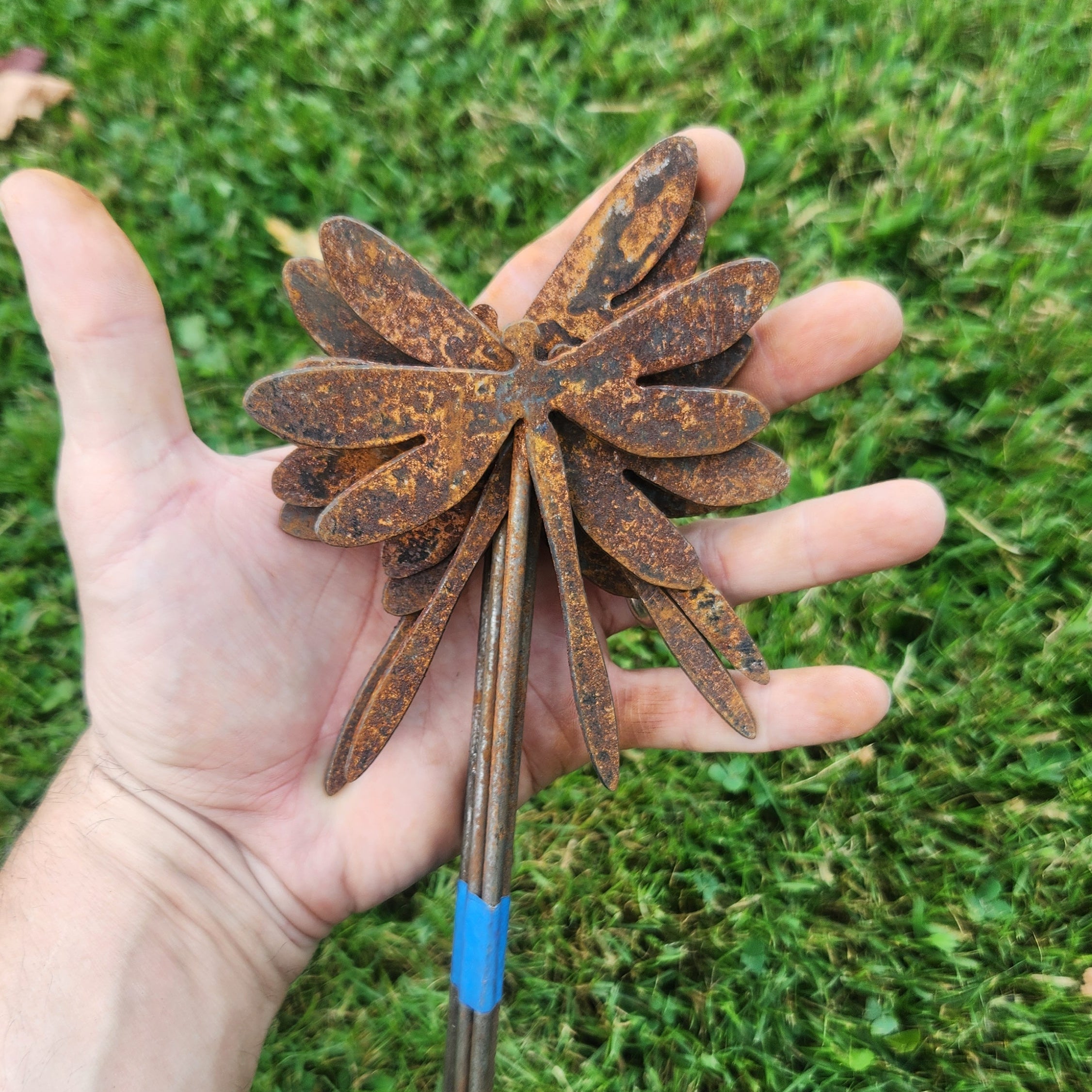 Rustic metal 4 in dragonfly bundle.