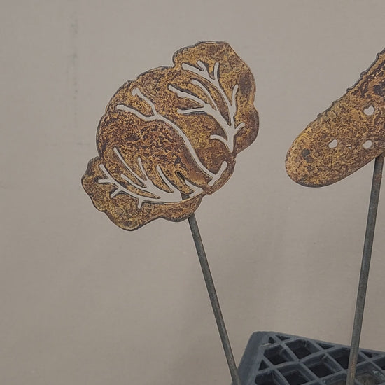 short video showing rustic metal plant stakes