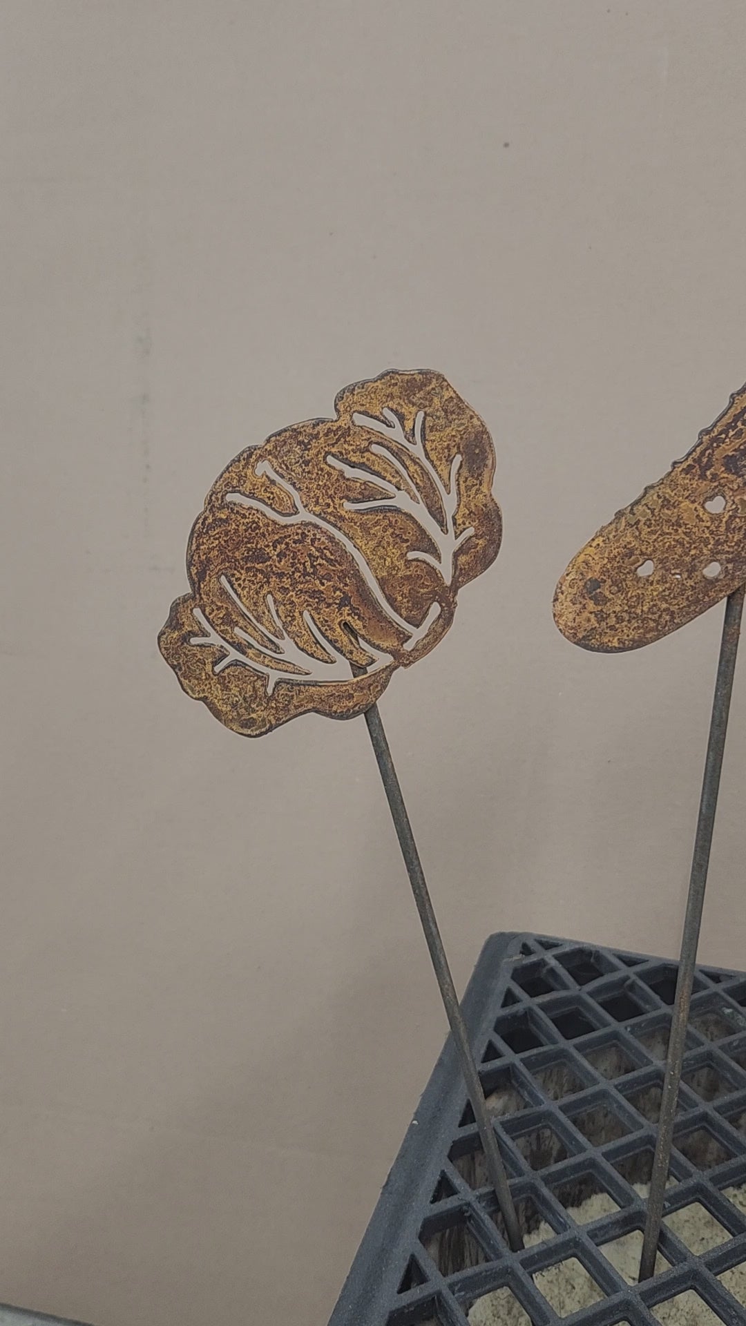 short video showing rustic metal plant stakes