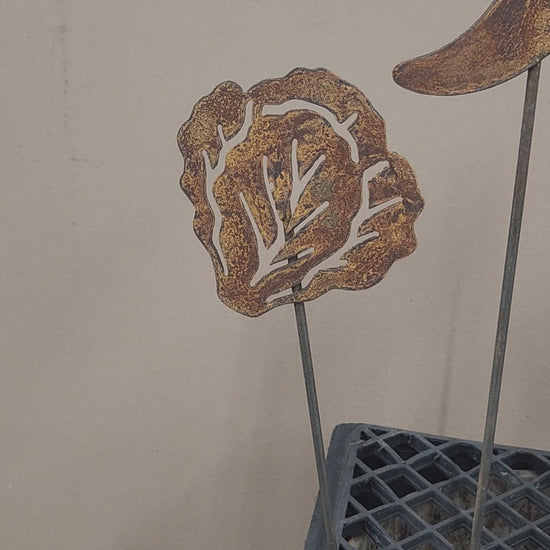 Video of rustic metal garden stakes