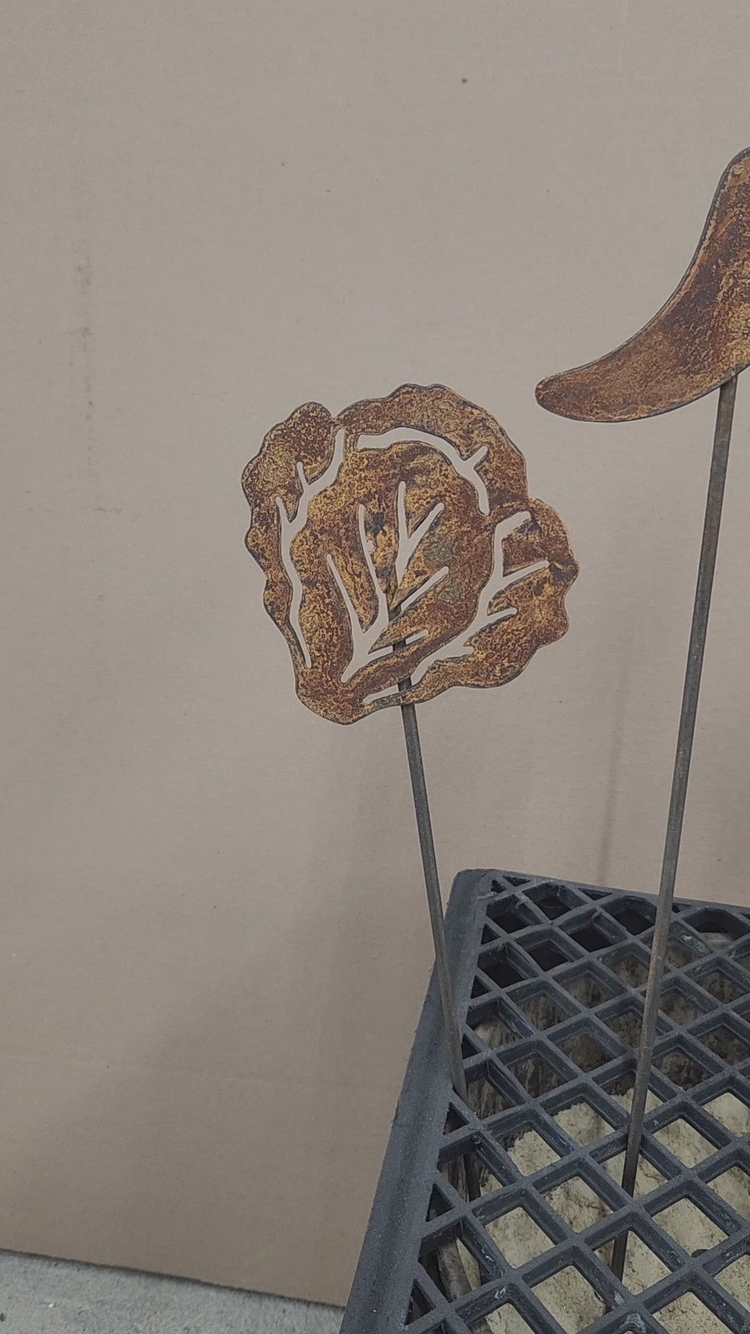 Video of rustic metal garden stakes